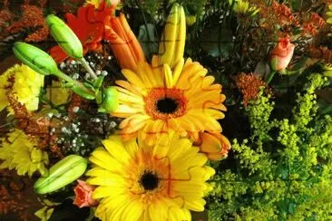 Flors
