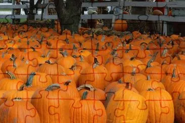 pumpkin patch jigsaw puzzle