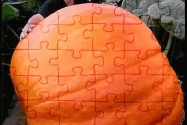 giant jigsaw puzzle