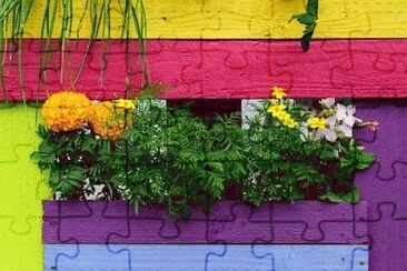 image jigsaw puzzle