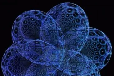 blue flower jigsaw puzzle