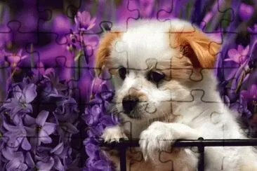 Cute Puppy in Purple Flowers jigsaw puzzle