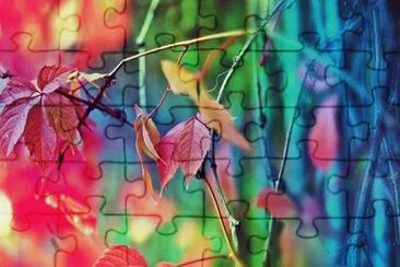 u76r7i85r785r jigsaw puzzle