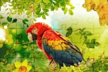 9867mnft67 jigsaw puzzle