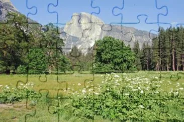 Yosemite NP 1