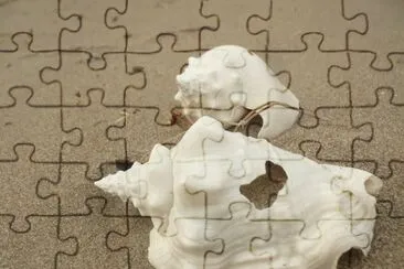 caracol en la arena jigsaw puzzle