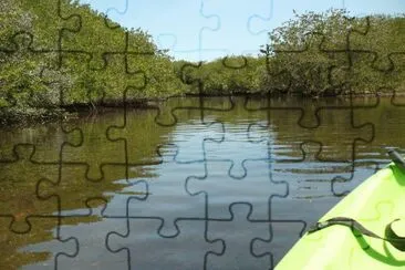 manglares jigsaw puzzle