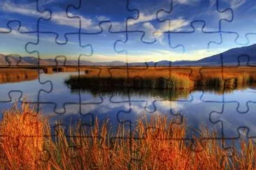 autumn marsh