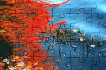 foliage and water jigsaw puzzle