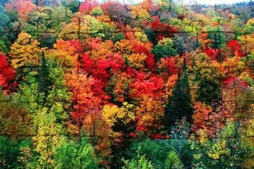 rainbow colors