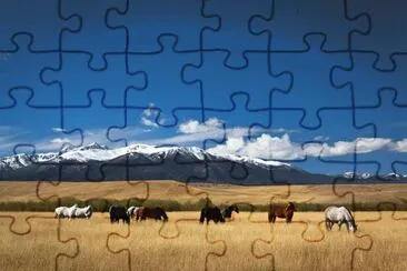 fall grazing jigsaw puzzle