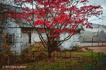 Eshbak Farm shed