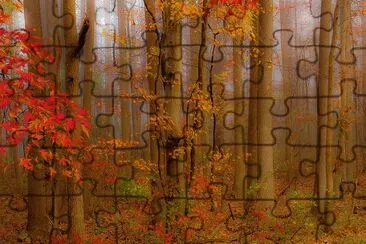 autumn red