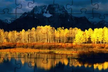aspens at sunset