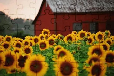 Finger Lakes jigsaw puzzle