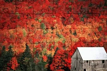 Vermont