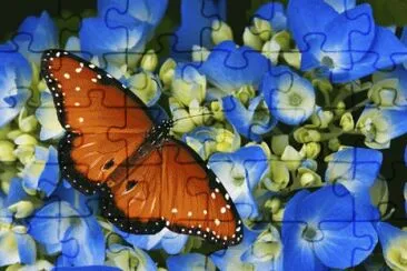  jigsaw puzzle