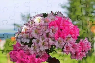  jigsaw puzzle