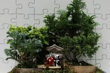 Bonsai 7. jigsaw puzzle