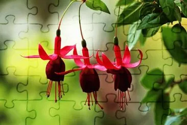 aretes de india jigsaw puzzle