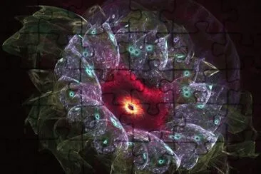another flower fractal