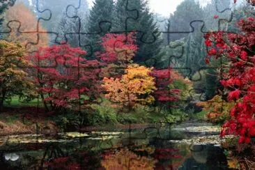 fall foliage in the park jigsaw puzzle