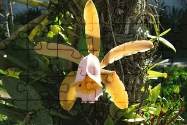 Natureza
