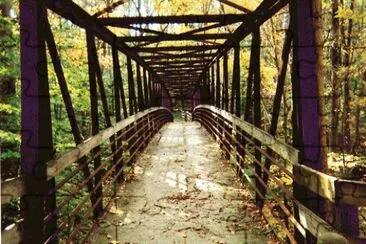 walk by the creek jigsaw puzzle