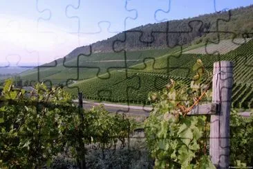  jigsaw puzzle