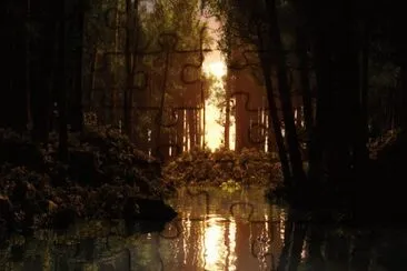 forest sunrise