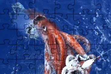 giant squid jigsaw puzzle