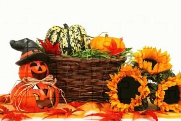 nrb54b66 o8b jigsaw puzzle