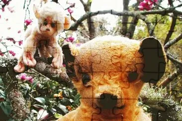 Teddy bear and monkey