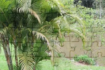 Natureza jigsaw puzzle