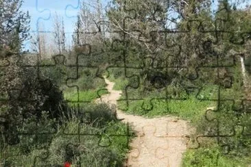×”×©×‘×™×œ ××œ ×”××•×©×¨