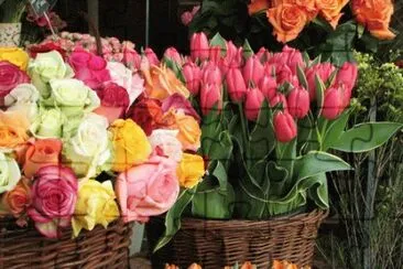 tulips and roses jigsaw puzzle