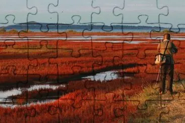 autumn marsh jigsaw puzzle