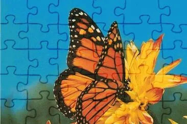 image jigsaw puzzle