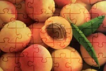 Abricocs jigsaw puzzle