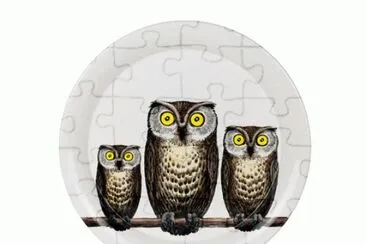 civette jigsaw puzzle