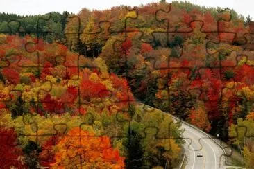 fall colors jigsaw puzzle