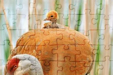 . jigsaw puzzle