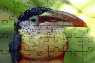 . jigsaw puzzle
