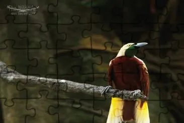 . jigsaw puzzle