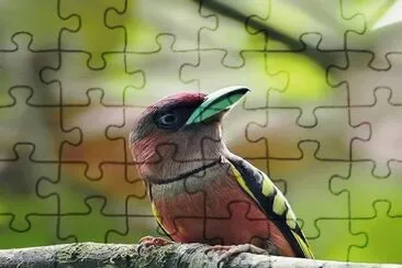 . jigsaw puzzle
