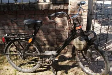 FaraÃ³n