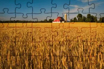 autumn hues jigsaw puzzle