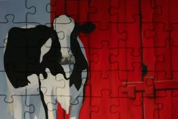 Penny 's cow jigsaw puzzle