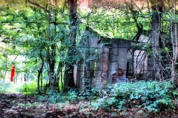 Little Red Riding Hood 's old house
