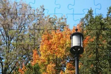 fall light post